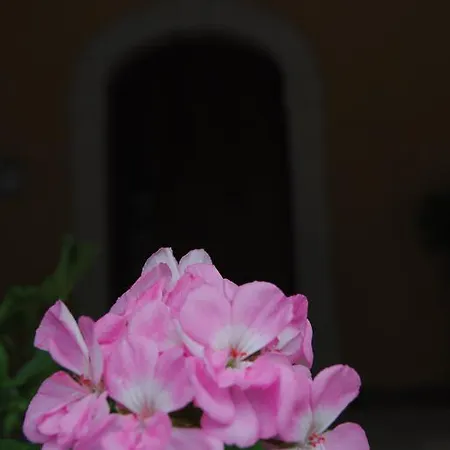 Pascale Bed & Breakfast